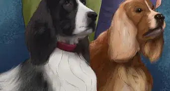 Teach Your Dog "On By"